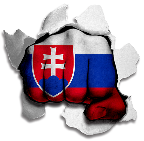 Fist Slovakia Flag Logo vinyl decal